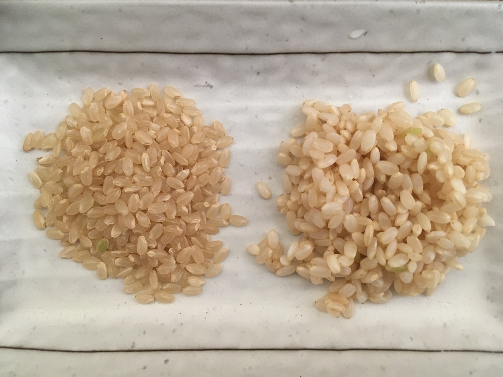 玄米の炊き方 ポイントは水に漬ける時間と炊く時の水加減